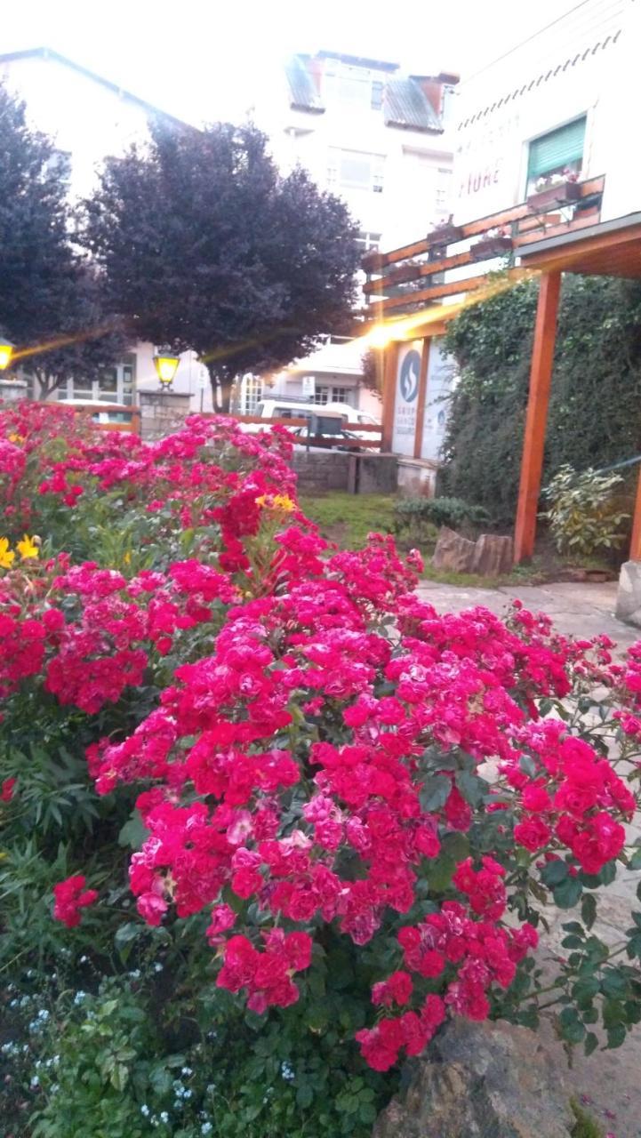 Hotel Piuké San Carlos de Bariloche Exterior foto